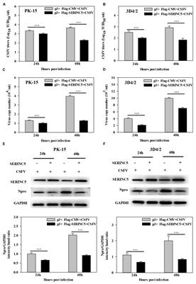 Antiviral Role of Serine Incorporator 5 (SERINC5) Proteins in Classical Swine Fever Virus Infection